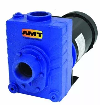 AMT 276795 2 in. Cast Iron Self-Priming Centrifugal Pump
