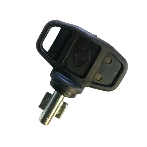 Case Ignition Key 79073033