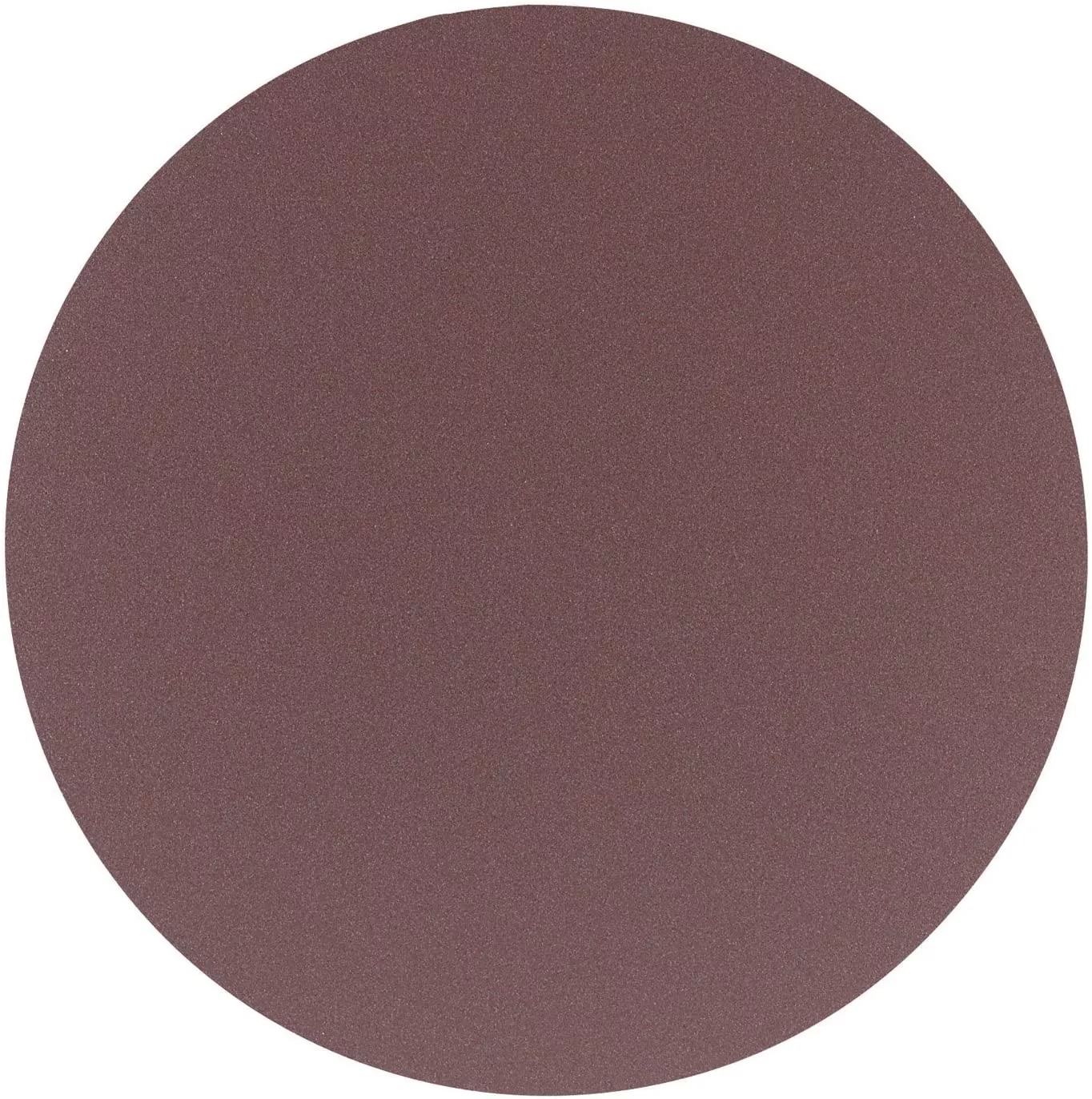 DELTA 31-423 12-Inch 120 Grit Sanding Disc (2-Pack)