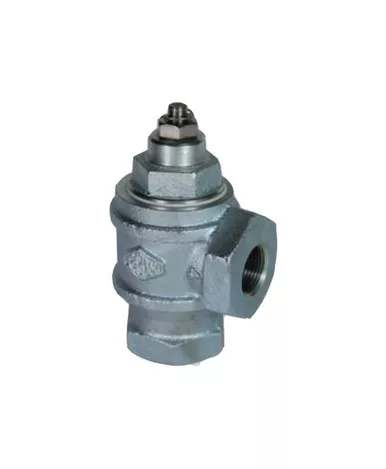 Franklin Fueling 61630002 1 1/2'' Anti Syphon Valve