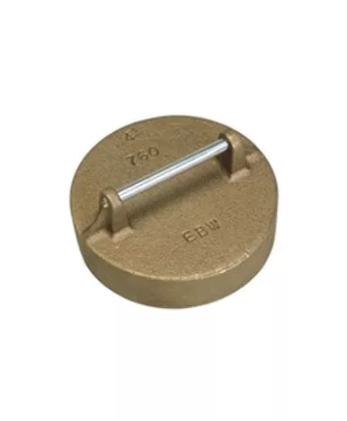 Franklin Fueling 76020101 4" NPSM Brass Pipe Cap