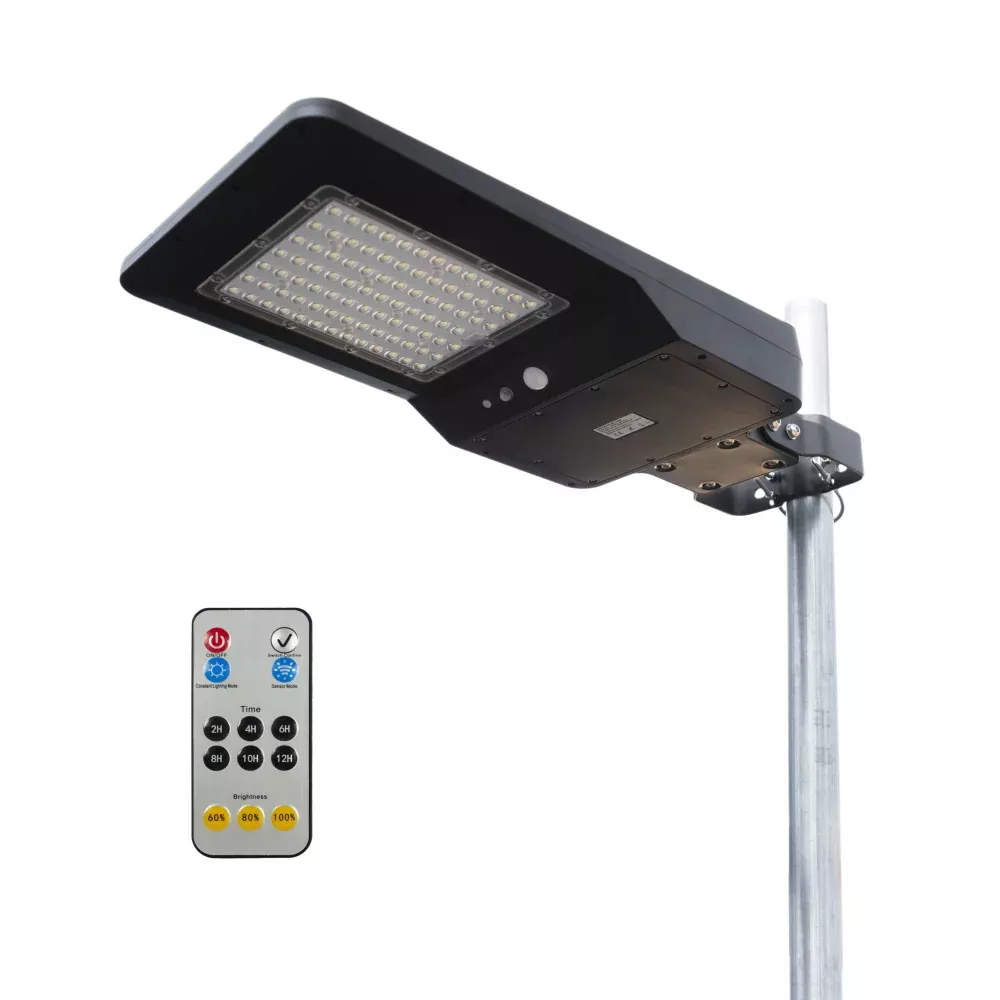 Solar + LED Floodlight 6000